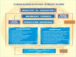 Organizational  structure and management