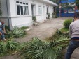 Công đoàn Trung tâm Khí tượng hàng không Nội Bài hưởng ứng Tết trồng cây năm Nhâm Dần 2022