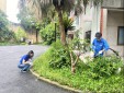 Đoàn Thanh niên Chi đoàn Trung tâm Khí tượng hàng không Nội Bài ra quân thực hiện phong trào Xanh – Sạch – Hạnh phúc