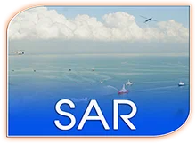 Search and Rescue Services (SAR)